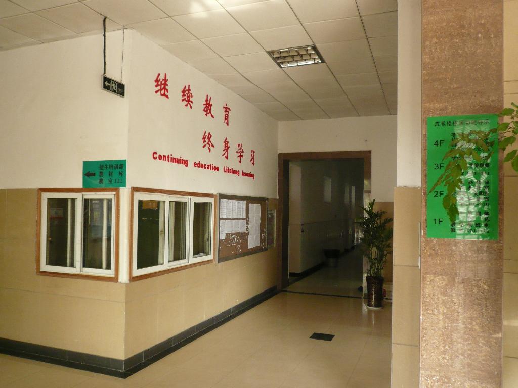 乐鱼官网app登录入口最新版下载